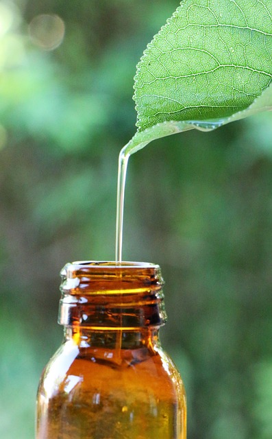 盈余公积的构成分类及其核心用途有哪些？