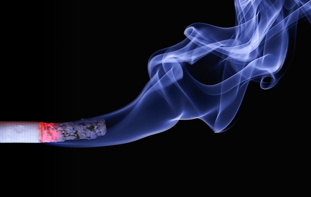 中华香烟不同品种的价格分别是多少？