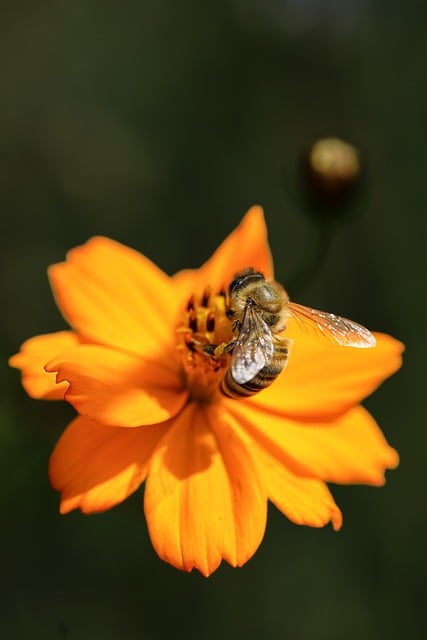 OKB公链化：是昙花一现还是价值重构？这波行情你抓对了吗？