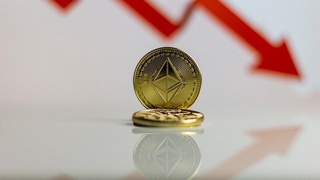 区块链赋能养鸡业：科技革新下的透明未来